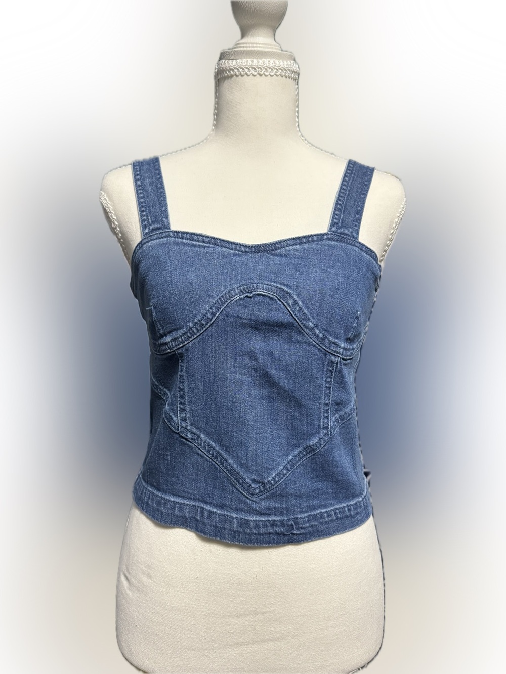 Denim Bustier Top